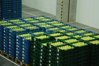 /album/fotogalerie/photo-sklad3-jpg/