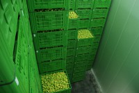 /album/fotogalerie/photo-sklad4-jpg1/